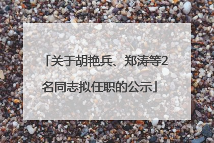 关于胡艳兵、郑涛等2名同志拟任职的公示