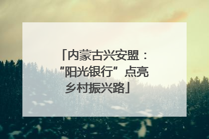 内蒙古兴安盟：“阳光银行”点亮乡村振兴路