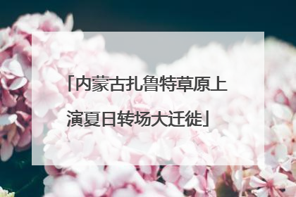 内蒙古扎鲁特草原上演夏日转场大迁徙