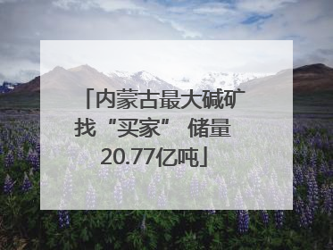 内蒙古最大碱矿找“买家” 储量20.77亿吨