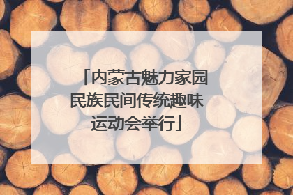 内蒙古魅力家园民族民间传统趣味运动会举行