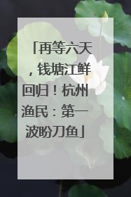 再等六天，钱塘江鲜回归！杭州渔民：第一波盼刀鱼