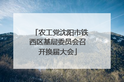 农工党沈阳市铁西区基层委员会召开换届大会