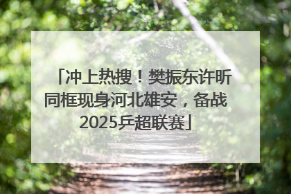 冲上热搜！樊振东许昕同框现身河北雄安，备战2025乒超联赛