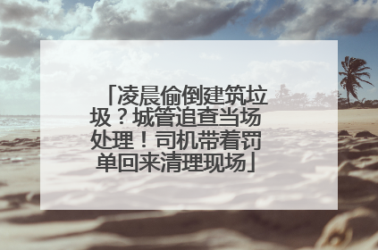 凌晨偷倒建筑垃圾？城管追查当场处理！司机带着罚单回来清理现场