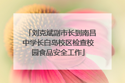 刘克斌副市长到南昌中学长白岛校区检查校园食品安全工作
