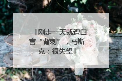 刚走一天就遭白宫“背刺”，马斯克：很失望