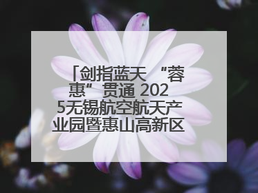 剑指蓝天 “蓉惠”贯通 2025无锡航空航天产业园暨惠山高新区投资环境推介会在成都举行