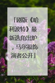 剧版《哈利波特》最新选角出炉，马尔福饰演者公开