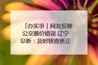 办实事｜网友反映公交票价错误 辽宁阜新：及时核查更正 加强实时巡检