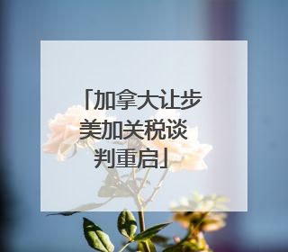 加拿大让步 美加关税谈判重启