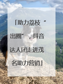 助力荔枝“出圈”，抖音达人团走进茂名助力营销