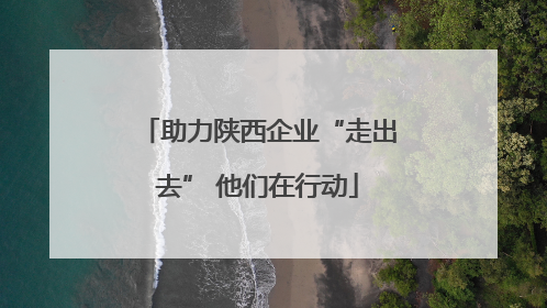 助力陕西企业“走出去” 他们在行动