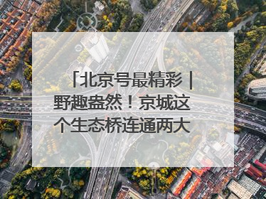 北京号最精彩｜野趣盎然！京城这个生态桥连通两大网红公园