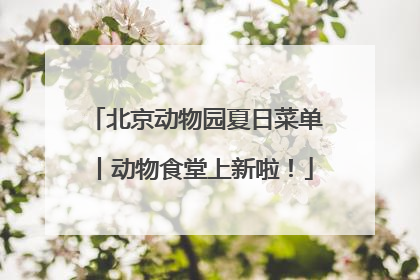 北京动物园夏日菜单丨动物食堂上新啦！