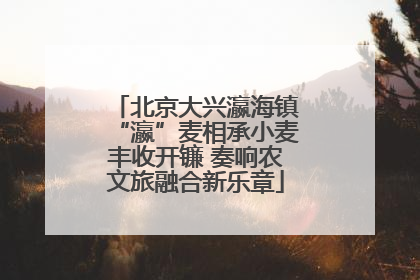 北京大兴瀛海镇“瀛”麦相承小麦丰收开镰 奏响农文旅融合新乐章