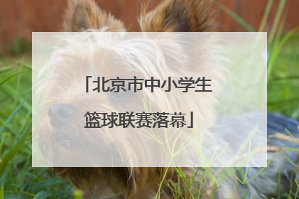 北京市中小学生篮球联赛落幕