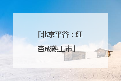 北京平谷：红杏成熟上市