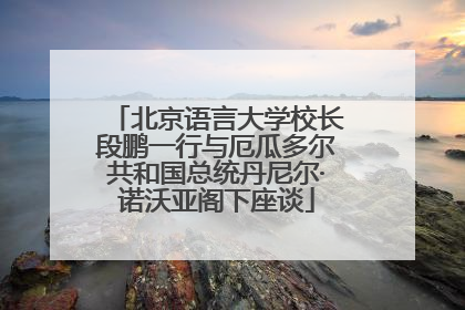 北京语言大学校长段鹏一行与厄瓜多尔共和国总统丹尼尔·诺沃亚阁下座谈