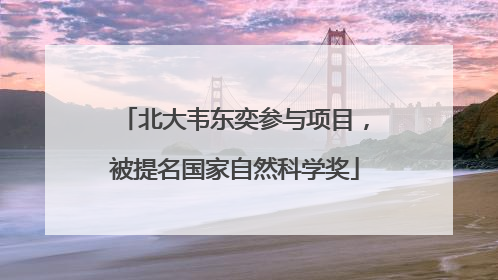 北大韦东奕参与项目，被提名国家自然科学奖