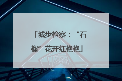 城步检察：“石榴”花开红艳艳