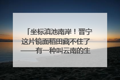 坐标滇池南岸！晋宁这片镜面稻田藏不住了——有一种叫云南的生活之365天
