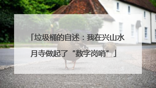 垃圾桶的自述：我在兴山水月寺做起了“数字岗哨”