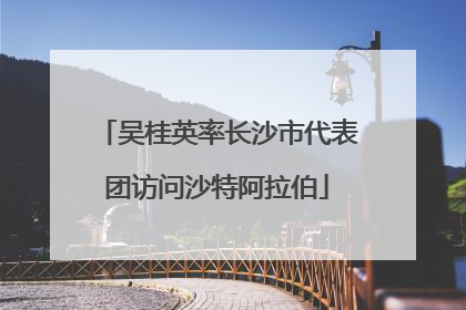 吴桂英率长沙市代表团访问沙特阿拉伯