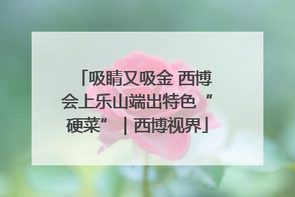 吸睛又吸金 西博会上乐山端出特色“硬菜”｜西博视界