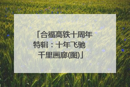 合福高铁十周年特辑：十年飞驰 千里画廊(图)