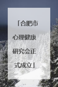 合肥市心理健康研究会正式成立