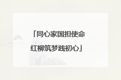 同心家国担使命 红柳筑梦践初心