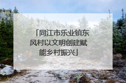 同江市乐业镇东风村以文明创建赋能乡村振兴