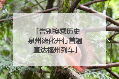 告别换乘历史 泉州德化开行首趟直达福州列车