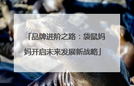 品牌进阶之路：袋鼠妈妈开启未来发展新战略