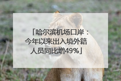哈尔滨机场口岸：今年以来出入境外籍人员同比增49%