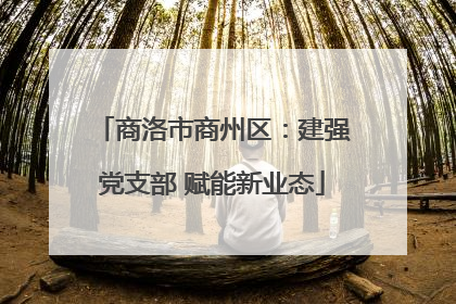 商洛市商州区：建强党支部 赋能新业态