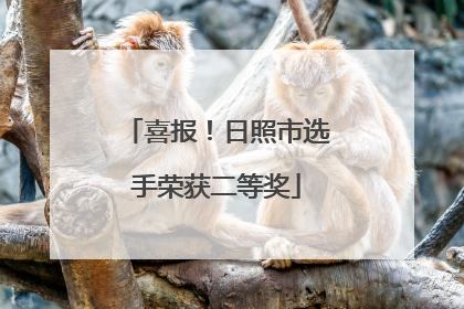 喜报！日照市选手荣获二等奖