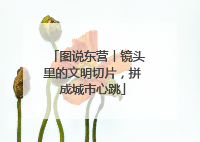 图说东营丨镜头里的文明切片，拼成城市心跳