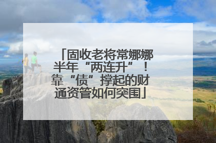 固收老将常娜娜半年“两连升”！靠“债”撑起的财通资管如何突围