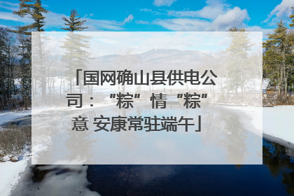 国网确山县供电公司：“粽”情“粽”意 安康常驻端午