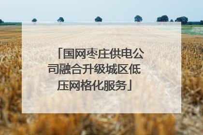国网枣庄供电公司融合升级城区低压网格化服务