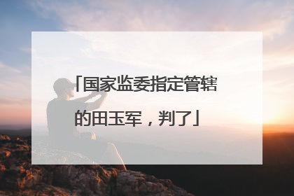 国家监委指定管辖的田玉军，判了