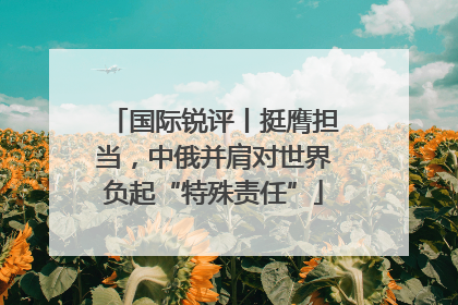国际锐评丨挺膺担当，中俄并肩对世界负起“特殊责任”