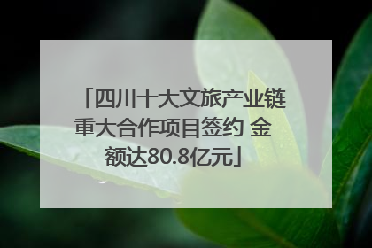 四川十大文旅产业链重大合作项目签约 金额达80.8亿元