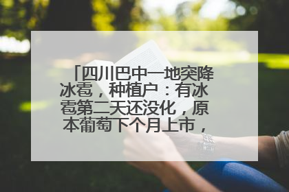 四川巴中一地突降冰雹，种植户：有冰雹第二天还没化，原本葡萄下个月上市，现在全被打落