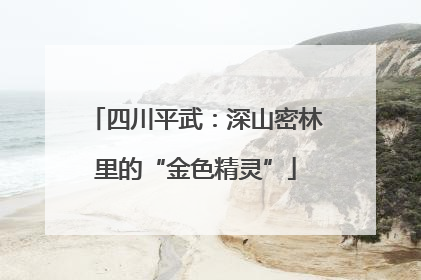 四川平武：深山密林里的“金色精灵”
