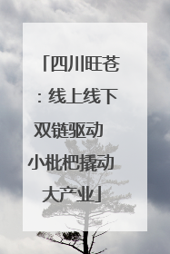 四川旺苍：线上线下双链驱动 小枇杷撬动大产业
