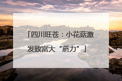 四川旺苍：小花菇激发致富大“蘑力”
