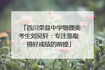 四川荣县中学物理类考生刘昊轩：专注是取得好成绩的前提